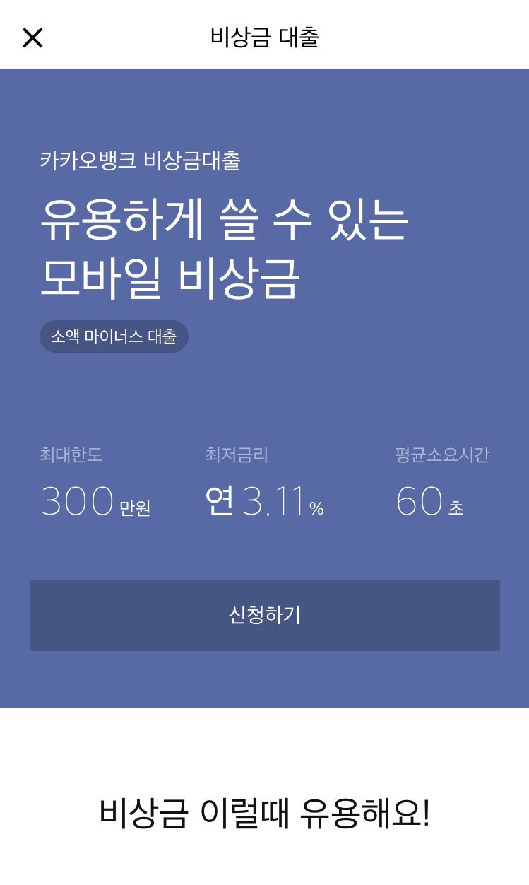 주부 여성 무직자 소액 마이너스 통장(카카오뱅크 비상금대출) : 네이버 블로그
