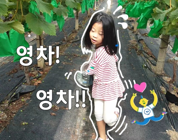  세라네포도 이모저모