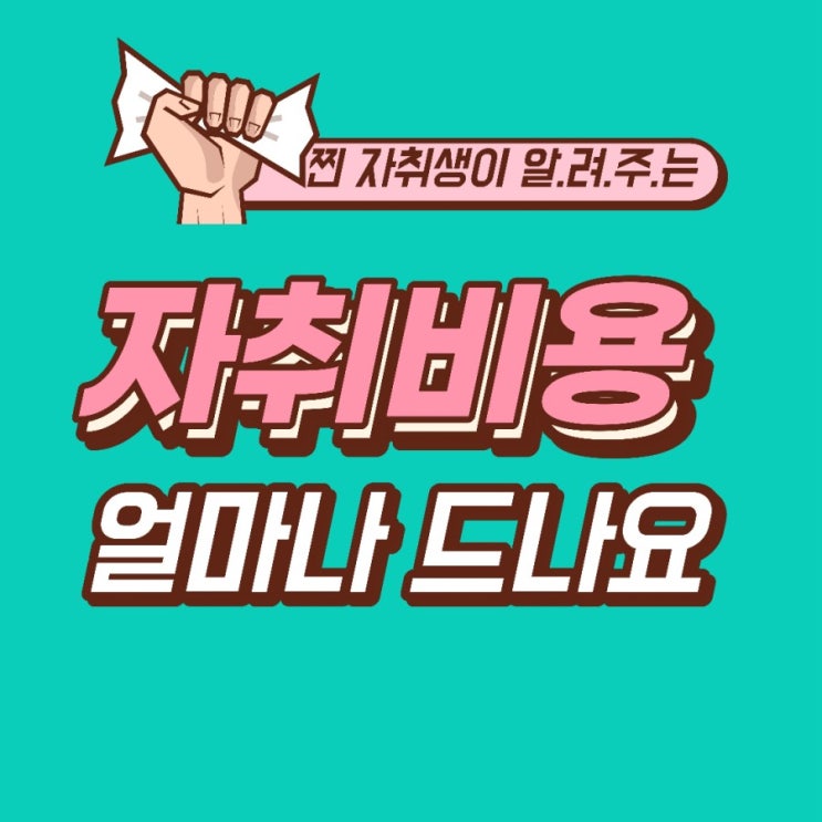  자취생이 알려주는 실제 자취비용원룸 오피스텔 자취하는데 얼마나 드나요자취비 아끼는 꿀팁