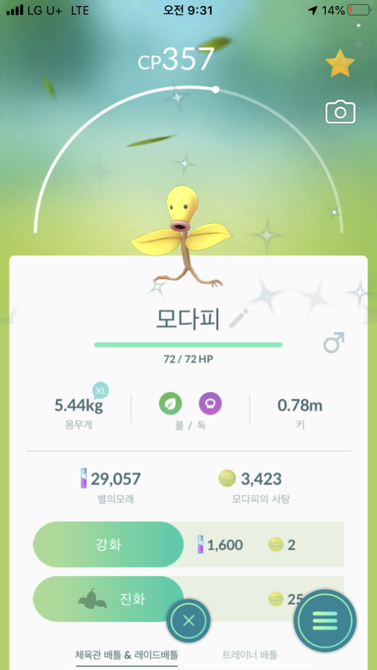  모다피 이로치