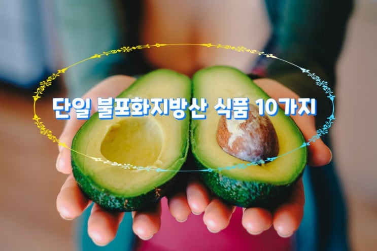 단일 불포화지방산 식품 10가지 단일 불포화지방산 식품 10가지