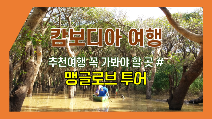 캄보디아 추천여행-캄보디아 꼭 가 봐야 할 곳#6 맹그로브정글 투어 캄보디아 추천여행-캄보디아 꼭 가 봐야 할 곳#6 맹그로브정글 투어