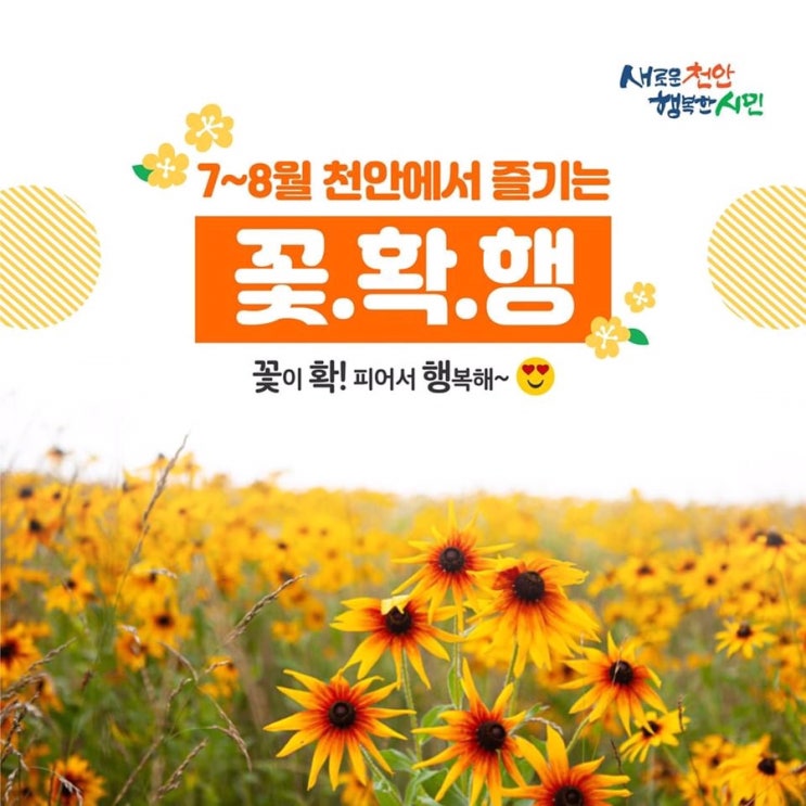 7~8월 천안에서 즐기는 꽃.확.행 | 천안시청페이스북