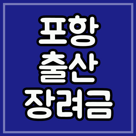  포항 출산장려금 안내