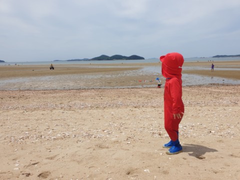  안면도 바람아래해수욕장 캠핑장 맛조개는 없다 ㅜㅜ