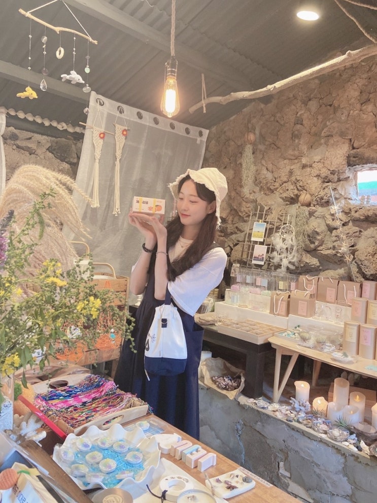  제주도 게하 스텝 한달살기 후기 + 제주도 여행지도
