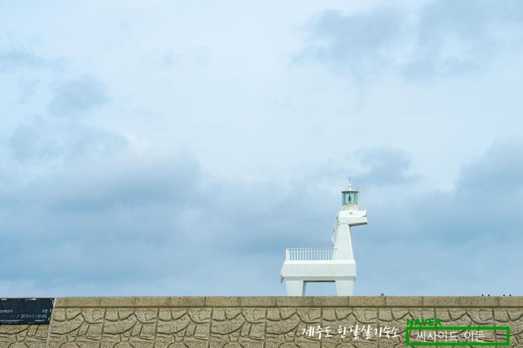  제주 최고의 포토스팟 "이호테우말등대" [제주도 한달살기 숙소 추천]