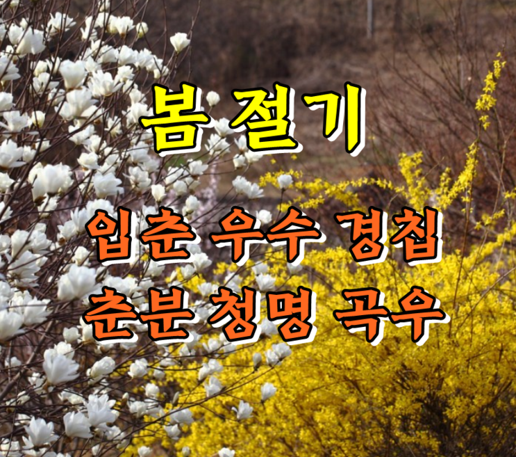 봄 절기 의미(입춘, 우수, 경칩, 춘분, 청명, 곡우) 날짜