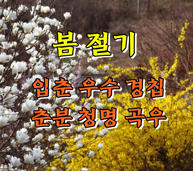  봄 절기 의미(입춘, 우수, 경칩, 춘분, 청명, 곡우) 날짜