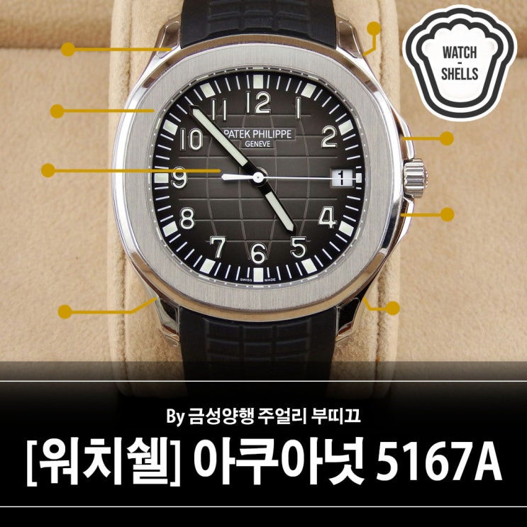 [워치쉘] 파텍필립 아쿠아넛 스틸 5167 PPF 시계보호필름 개발 및 부착 시공 사례