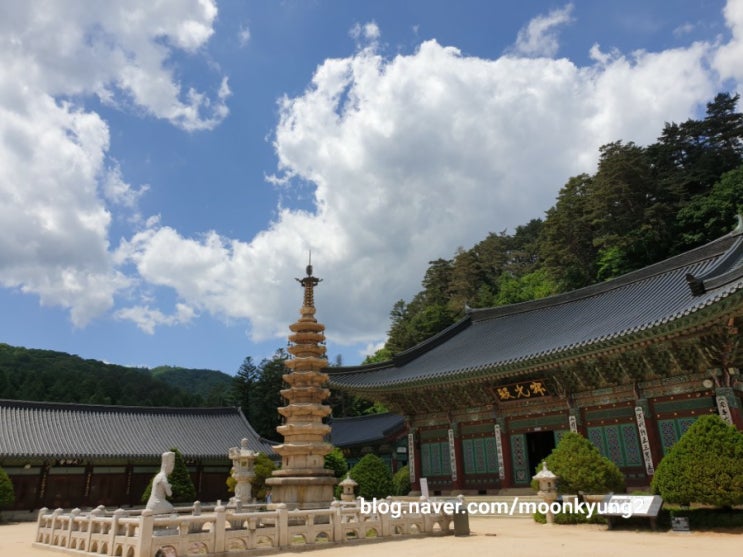  [평창 여행] 오대산 월정사 입장료, 주차료 대박 비싸!