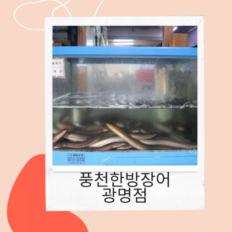  풍천한방장어  광명점