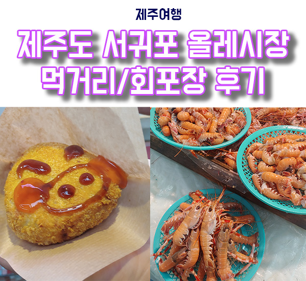  제주도 서귀포 올레시장 땅콩만두, 흑돼지 고로케 먹방 딱새우, 부시리 회포장