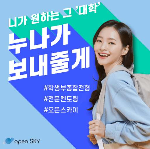  학생부 종합전형 - 명문대생 멘토링 받고 대입 쉽게 준비하자! (오픈스카이)