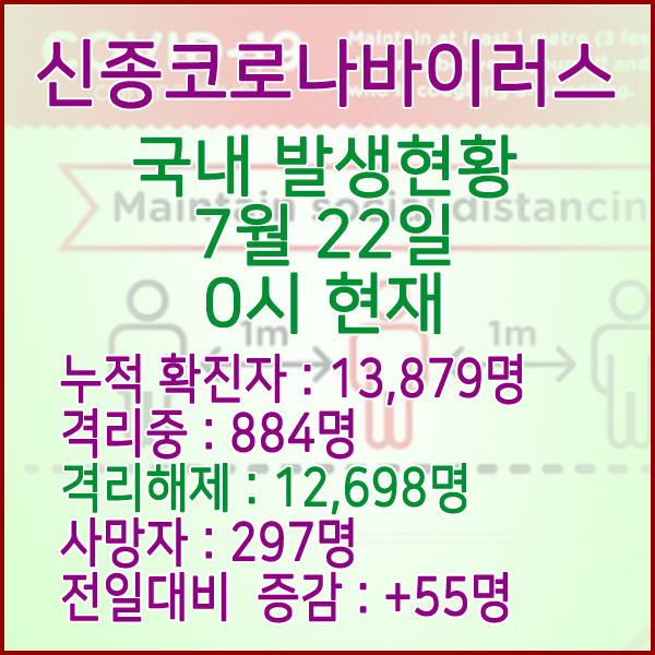  코로나19(코로나바이러스) 7월 22일 0시 국내(해외포함) 발병 13,816명 / 12,643명 완치 격리해제 / 사망자 296명