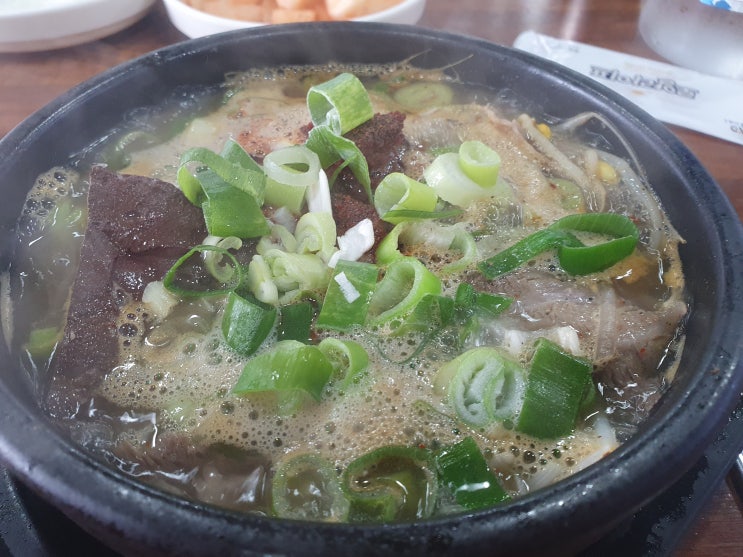  [제주도 맛집] 제주도 해장국 맛집 제주 은희네 해장국! 성산일출봉 섭지코지 맛집 은희네해장국!!