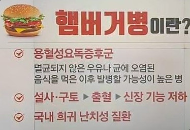 햄버거병 증상 나는 해당될까? (용혈성요독증후군)