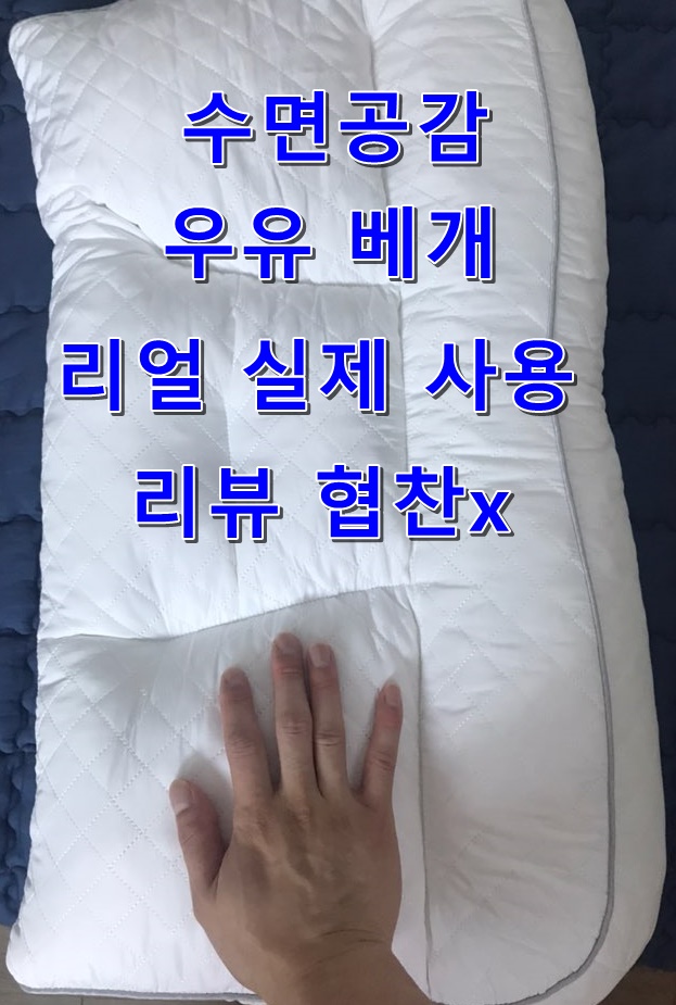  리얼 실사용 후기 수면 공감 우유 베개 링크 X