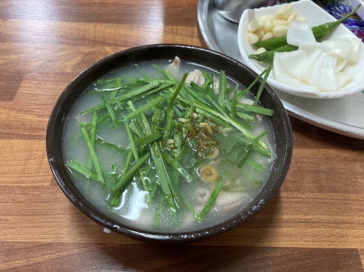  밀양맛집 백종원 3대천왕 돼지국밥 '단골집'