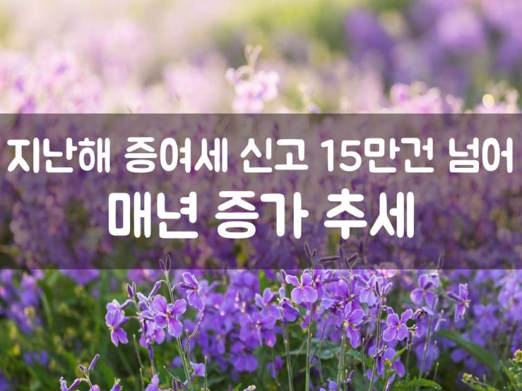  지난해 증여세 신고 15만건 넘어…매년 증가 추세