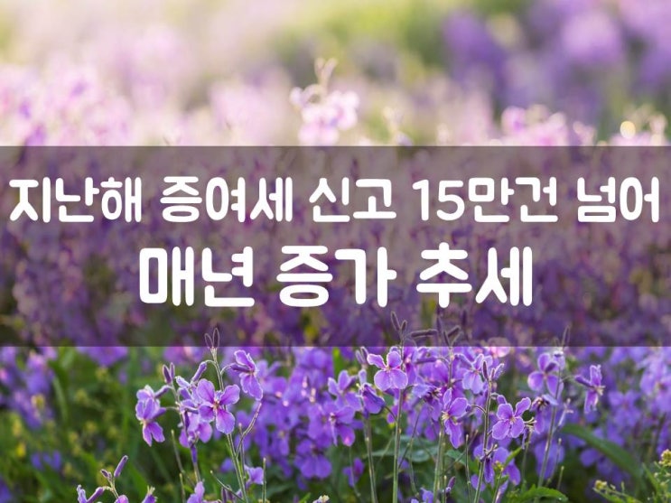 지난해 증여세 신고 15만건 넘어…매년 증가 추세