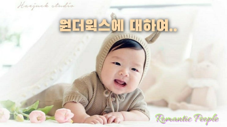 원더윅스에 대하여 원더윅스에 대하여