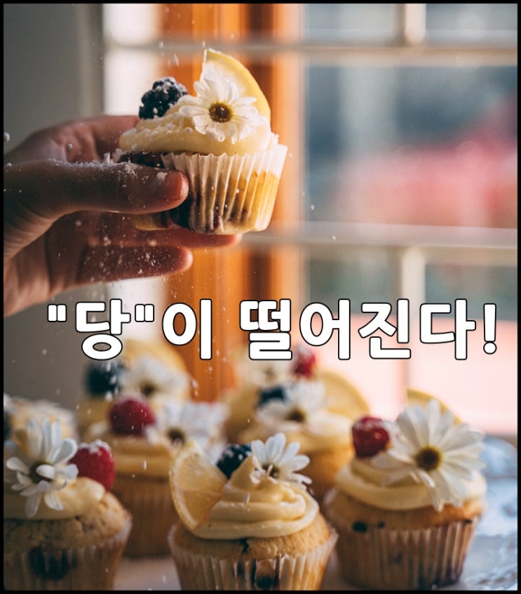  건강한 당 섭취로 내 몸에 당 조절과 다이어트 효과까지~~~!!!