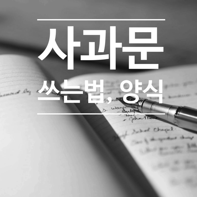 사과문 쓰는 법, 양식 : 네이버 블로그