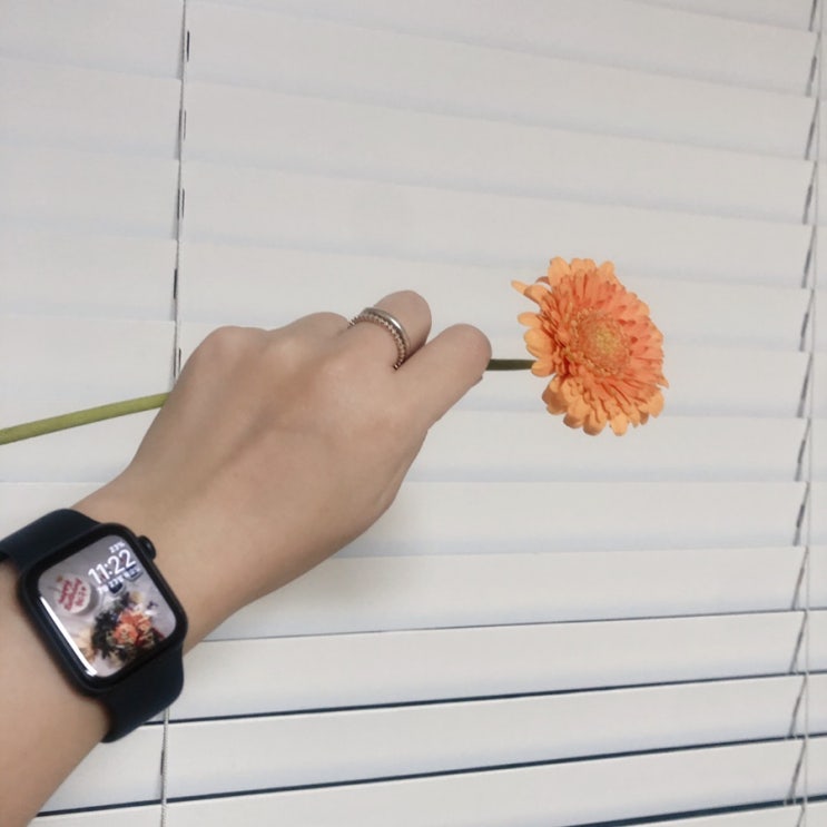  세상에 둘도 없는 애플워치 구매후기  「  Apple Watch 5 」