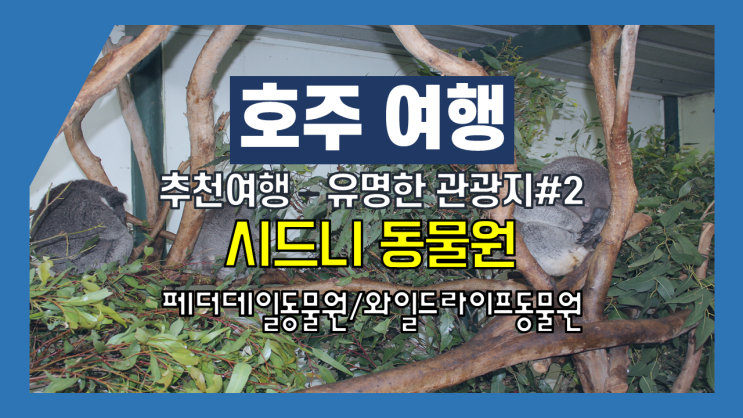 호주 여행-추천 여행지 #2 - 시드니 유명 관광지 - 시드니 동물원 호주 여행-추천 여행지 #2 - 시드니 유명 관광지 - 시드니 동물원