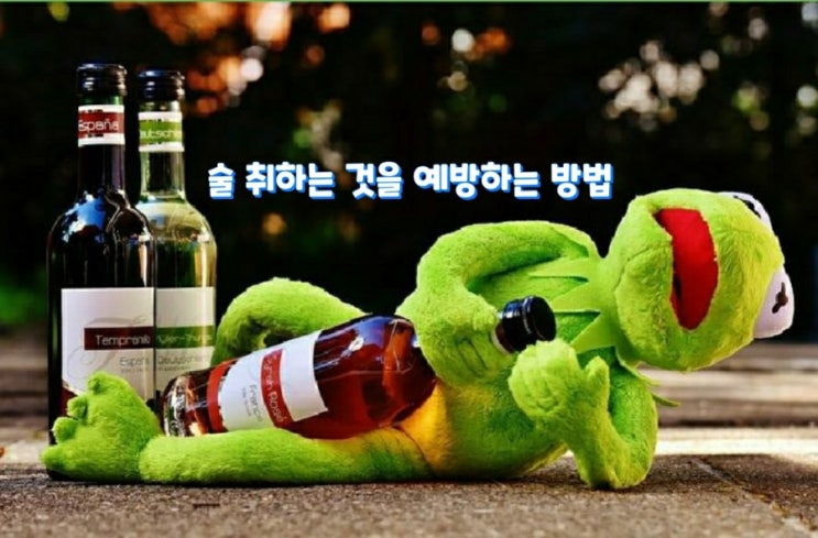 술 취하는 것을 예방하는 방법 술 취하는 것을 예방하는 방법