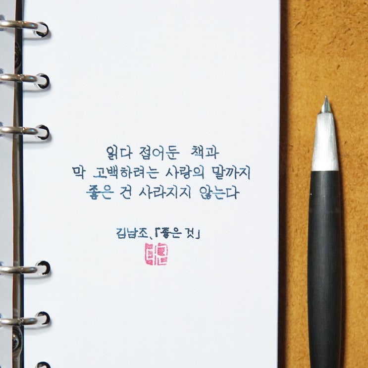  좋은 것 (라미 2000 마크롤론 EF닙)