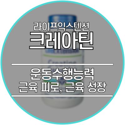  크레아틴 효과 - 운동수행능력, 근육 피로, 근육 성장