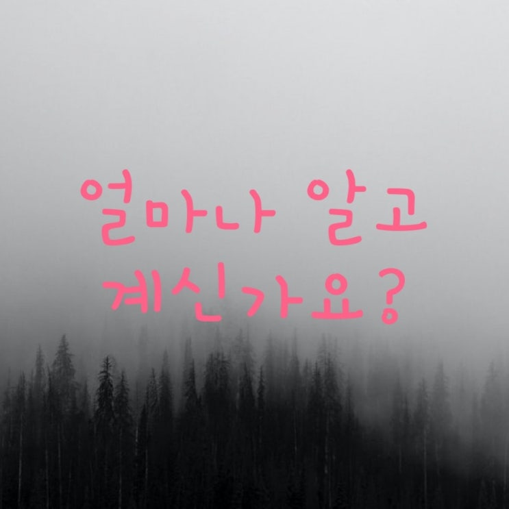 매러디스 빅토리호 흥남철수작전 /김치 5 이경필 님 우리 역사 알기