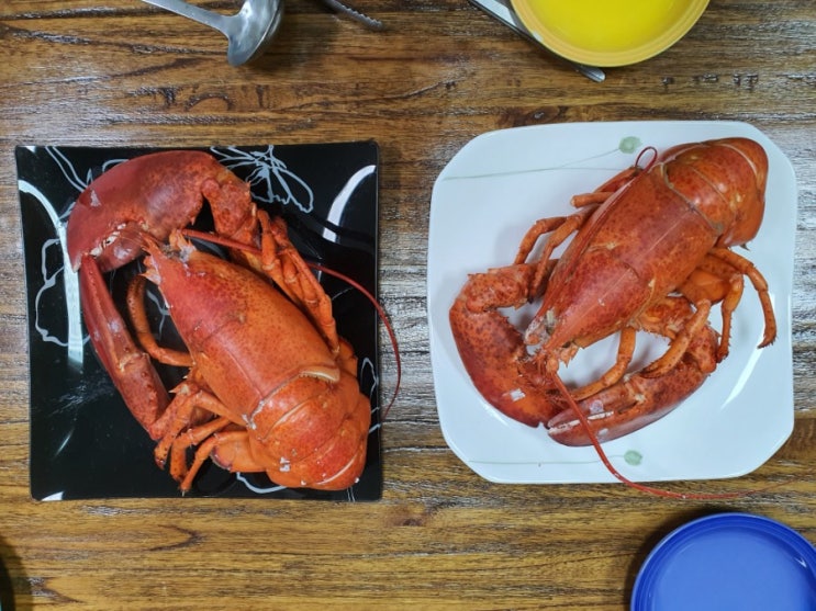  랍스터 찜, 버터치즈구이, 아빠 요리