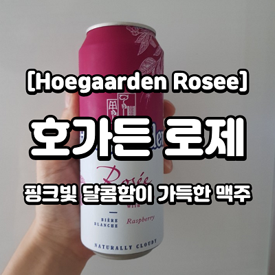 [Hoegaarden Rosee] 호가든 로제 - 핑크빛 달달함이 입안 가득  술알못도 홀딱 반한 맥주