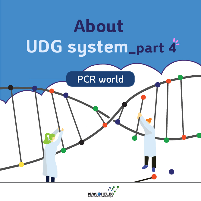  About UDG(Uracil DNA Glycosylase) system _ part 4