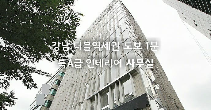  [신논현역 사무실임대] 강남 초역세권 특 A급 인테리어 사무실 임대 / 더블역세권 전용 55평