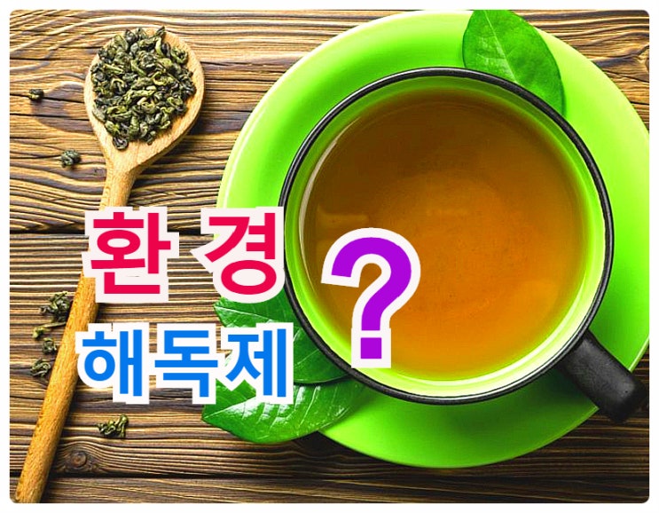  생활 속 환경호르몬(다이옥신) 줄이기..  녹차(카테킨)가 좋을까?