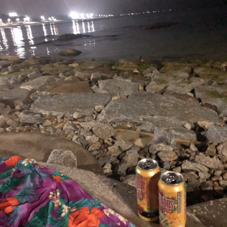 7월 둘째 주
