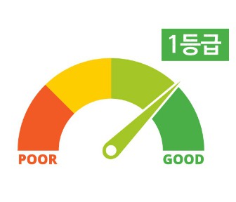  신용등급 올리려면 어떻게 해야할까? 꿀팁공유