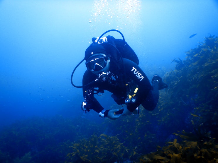  국내 SCUBA 장비 업체 헬리오스 HELIOS 에 대해 알아보자(국내 브랜드 SCUBA 장비 추천)