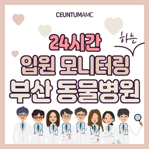  24시간 입원 모니터링하는 부산 동물병원, 센텀동물메디컬센터입니다! (연중무휴)