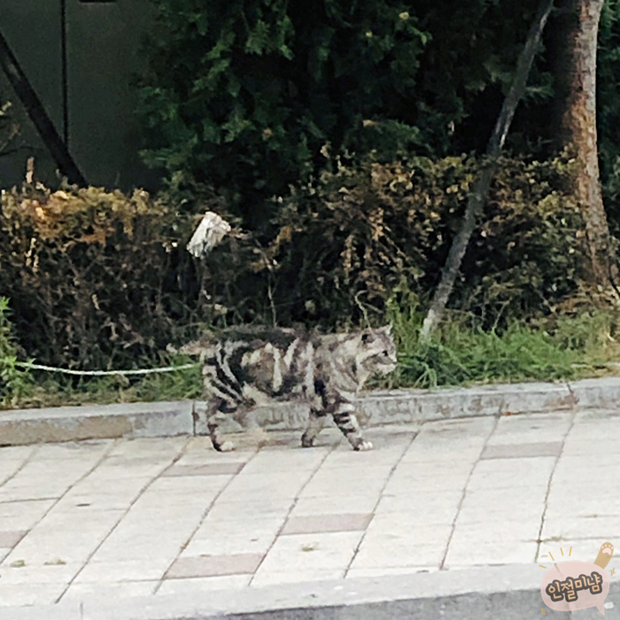  2020.07.21 급벙개는 너무나도 즐거워