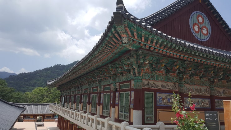  경남 가볼만한 곳 합천 해인사와 삼성식당(김종국삼촌가게)