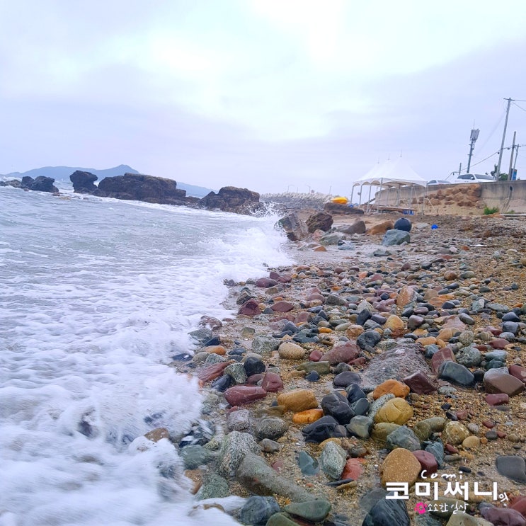 [경북 영덕 여행] 병곡 고래불해수욕장 전망대 고운 모래 한산하고 조용한 해변!