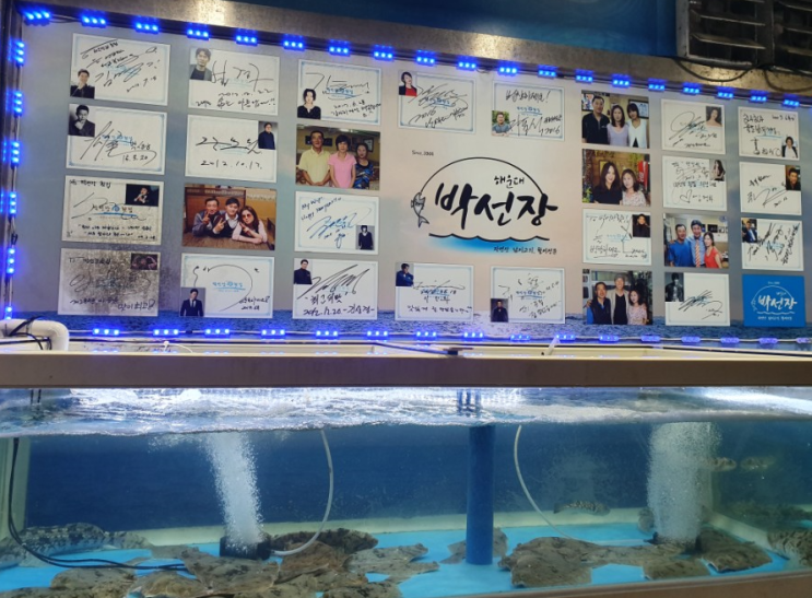  해운대 횟집 해리단길 "해운대 박선장"