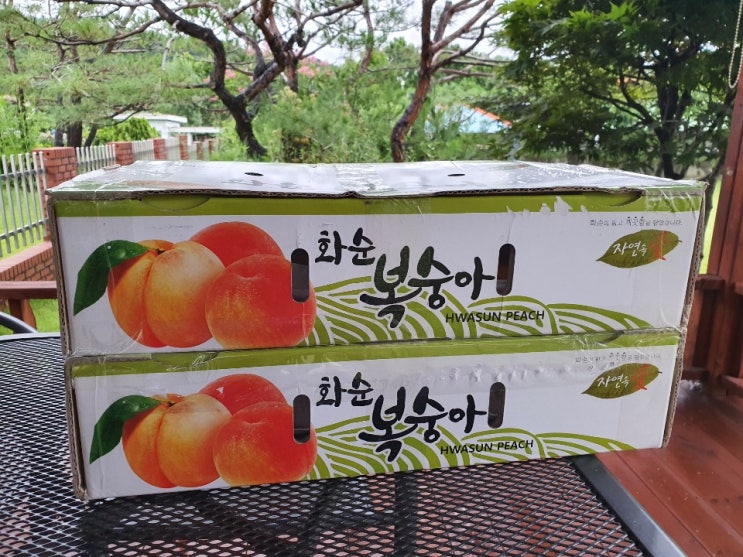  화순복숭아직거래 택배로 받아보니~