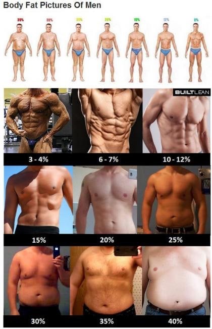 내가 보려고 만든 체지방률별 체형 몸매 비교 사진 모음 : 네이버 블로그