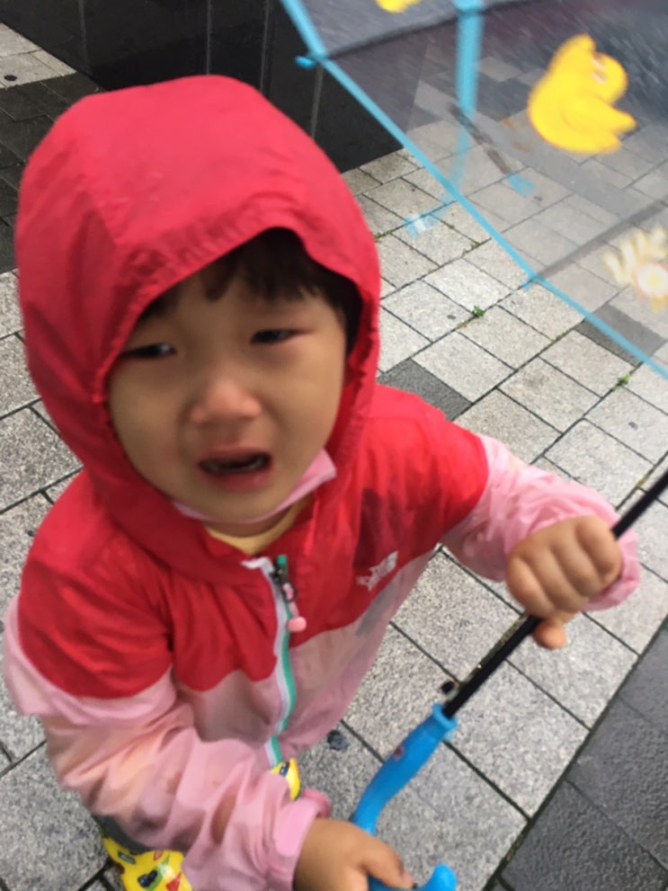  비왔던 어제